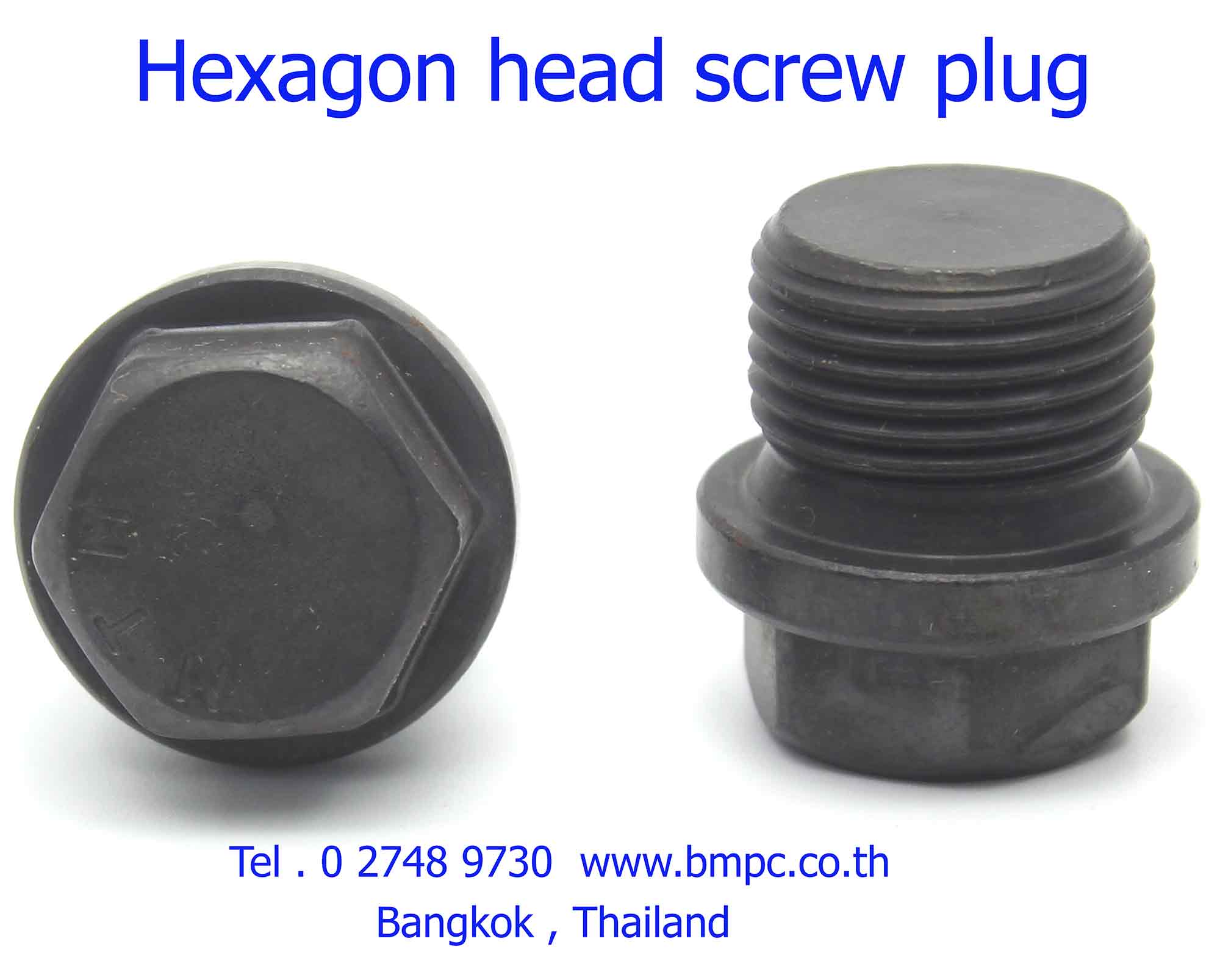 Oil plug, ปลั๊กอุดน้ำมัน, Pipe plug, Screw plug, Drain plug, น๊อตถ่ายน้ำมัน